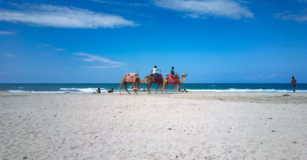 Best Shore Excursions in Zarzis: Cruise Port Activities and Day Tours