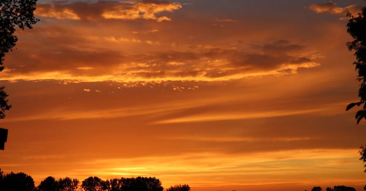 Zaventem Airport and Hotel Transfer Guide