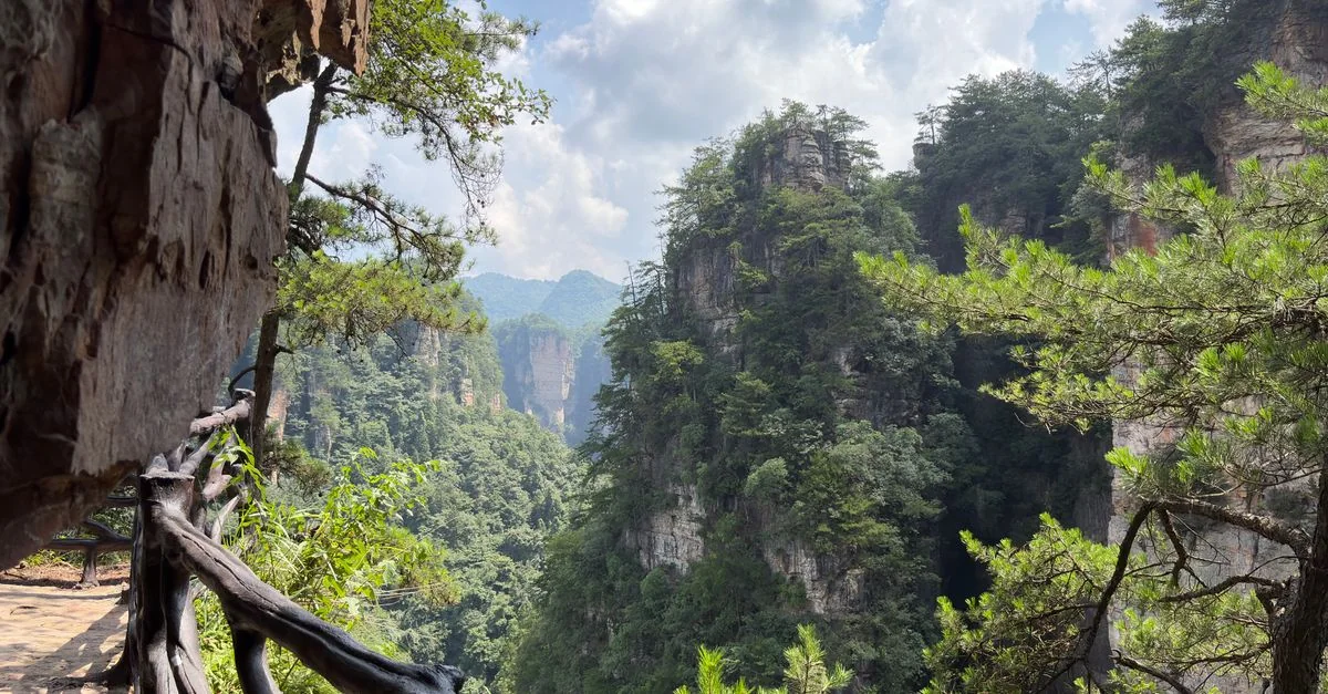 Nature and Wildlife Tours in Zhangjiajie: Safari, Birdwatching and Eco Adventures