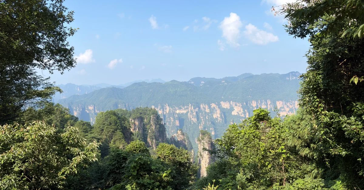 Nature and Wildlife Tours in Zhangjiajie: Safari, Birdwatching and Eco Adventures
