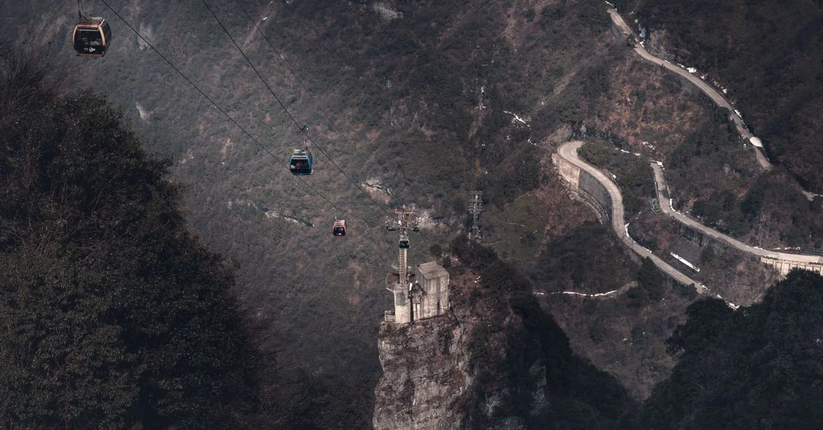 Nature and Wildlife Tours in Zhangjiajie: Safari, Birdwatching and Eco Adventures