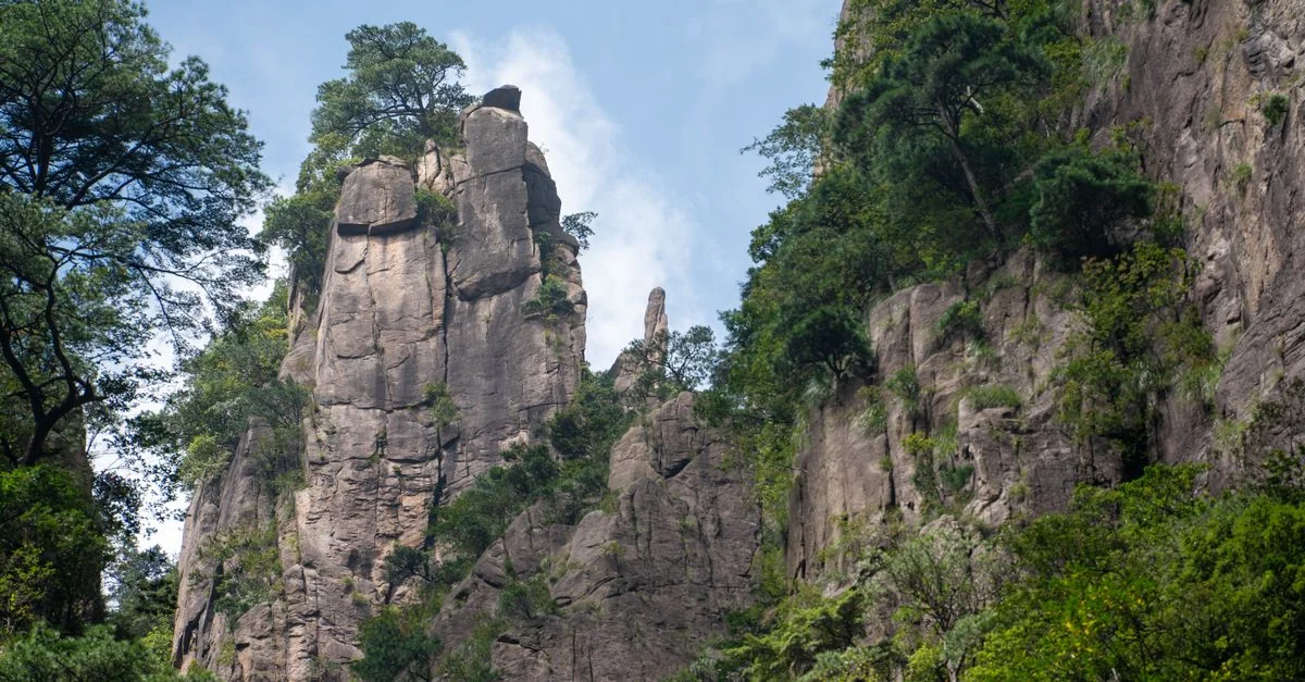 Nature and Wildlife Tours in Zhangjiajie: Safari, Birdwatching and Eco Adventures