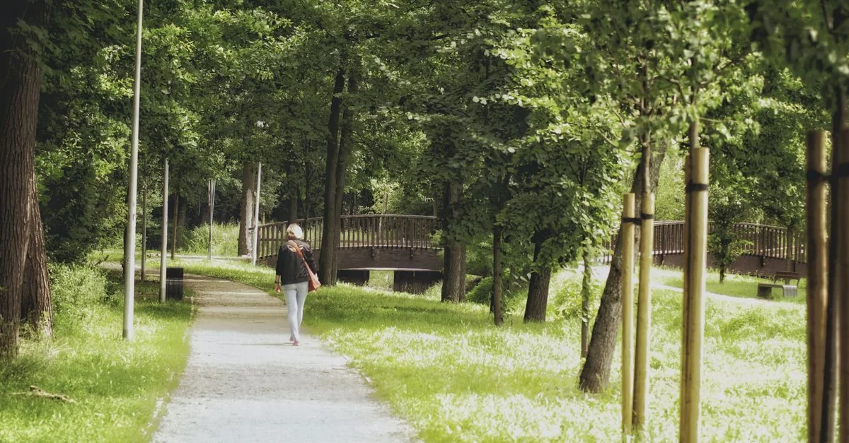 Zielona Góra to Berlin by Bus: A Budget Traveler’s Guide