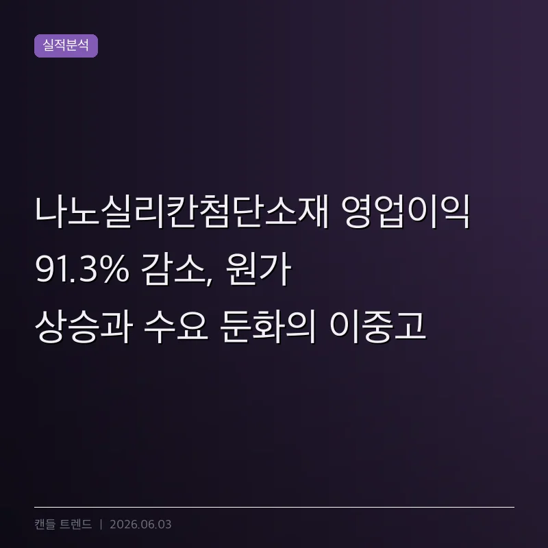 나노실리칸첨단소재 영업이익 91.3% 감소, 원가 상승과 수요 둔화의 이중고