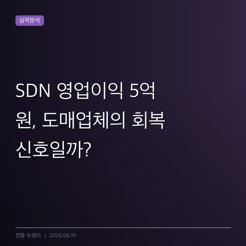 SDN 영업이익 5억 원, 도매업체의 회복 신호일까?