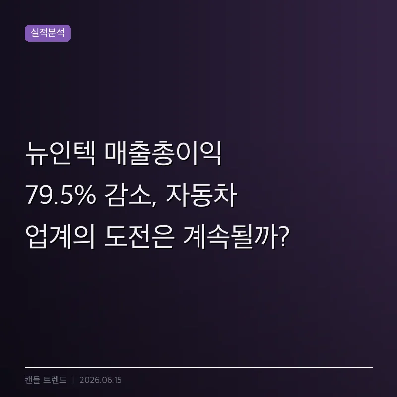 뉴인텍 매출총이익 79.5% 감소, 자동차 업계의 도전은 계속될까?