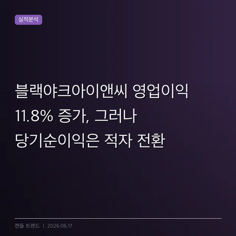 블랙야크아이앤씨 영업이익 11.8% 증가, 그러나 당기순이익은 적자 전환