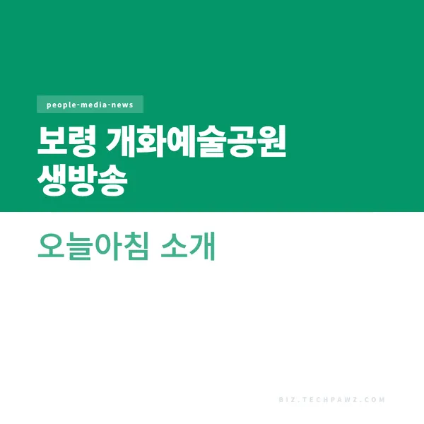 보령 개화예술공원 생방송 오늘아침 소개