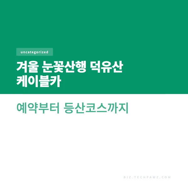 겨울 눈꽃산행 덕유산 케이블카 예약부터 등산코스까지