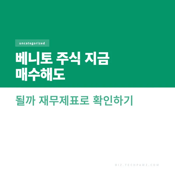 베니토 주식 지금 매수해도 될까 재무제표로 확인하기