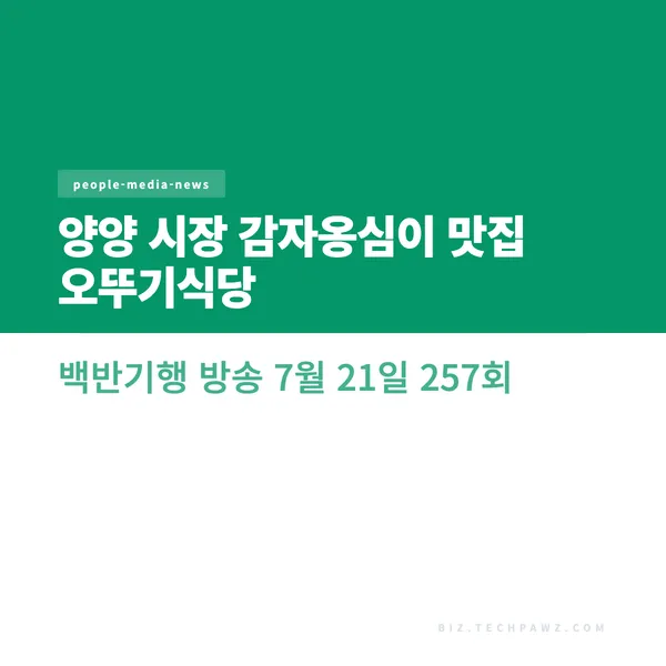 양양 시장 감자옹심이 맛집 오뚜기식당 백반기행 방송 7월 21일 257회