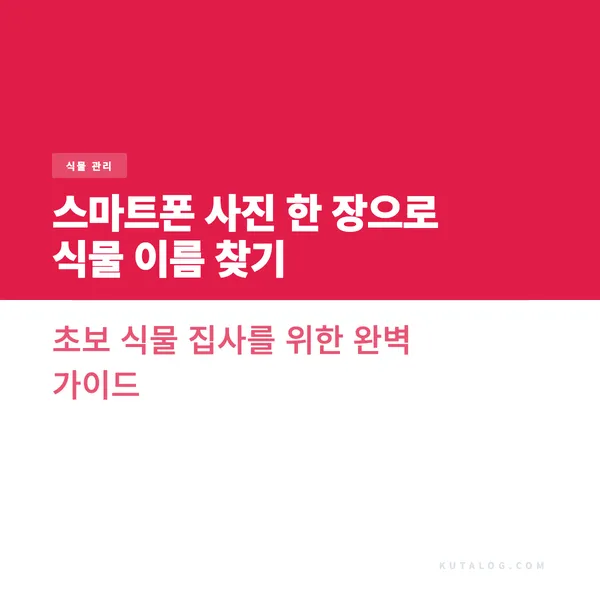 스마트폰 사진 한 장으로 식물 이름 찾기 초보 식물 집사를 위한 완벽 가이드