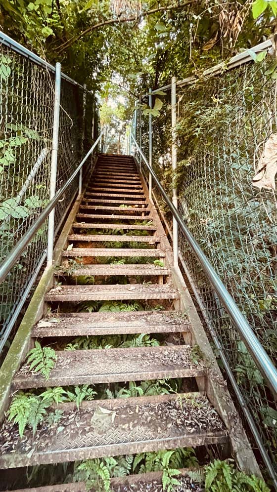 도덕산 출렁다리