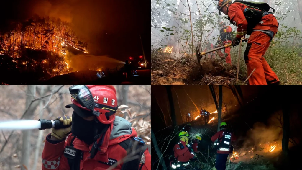 쓰레기 집 청소