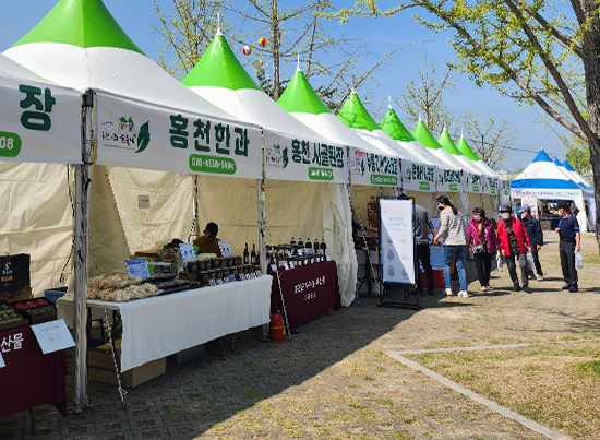 홍천 산나물 축제